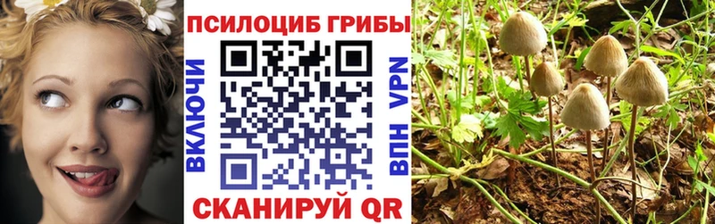Псилоцибиновые грибы мицелий  Купить где  Кедровый 